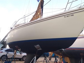 Buy 1980 Catalina Yachts 30 Tall Rig