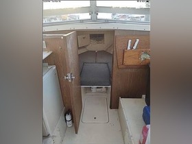 Acheter 1974 Bertram Yachts 28