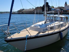 Venus 31