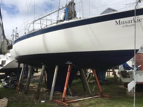 1979 Dolphin 31