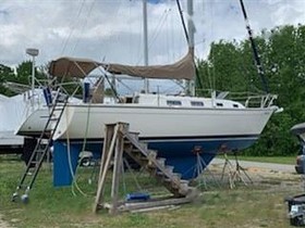 Buy 1984 Pearson 303