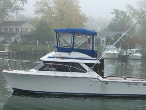 Chris-Craft 315 Commander