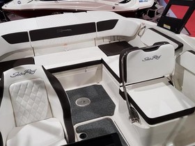 Köpa 2020 Sea Ray Boats 210 Spxe