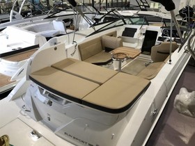 Купити 2020 Sea Ray Boats 230 Sse