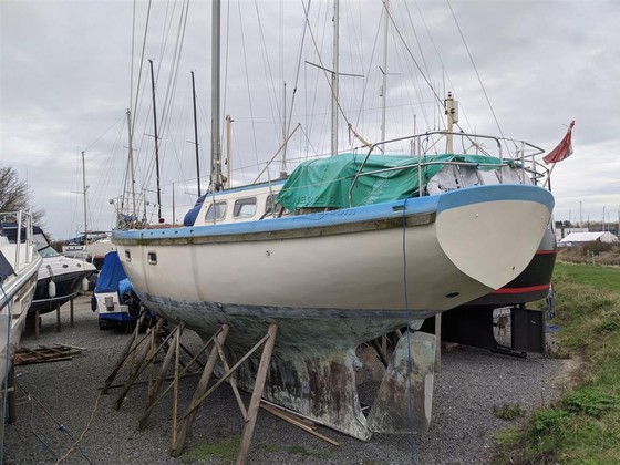 Endurance 40