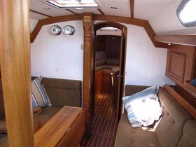 Buy 2022 Rustler 36