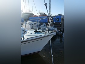 1981 Westerly Konsort