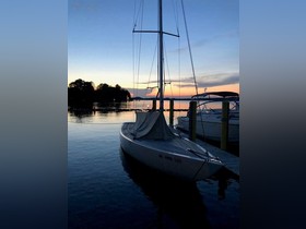 Buy 2009 Rustler 24