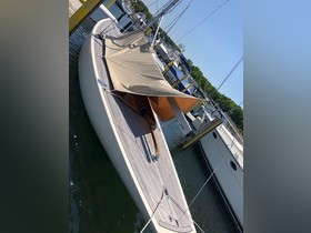2009 Rustler 24