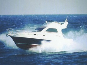 2003 Nautica Sea World 31 te koop
