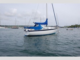 Kupiti 1978 Dolphin 31