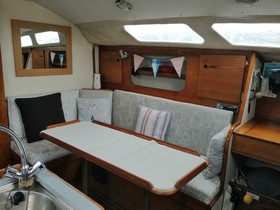 1978 Dolphin 31