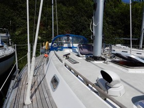 Buy 2000 Rustler 36