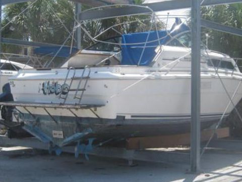 Sea Ray Express Cruiser