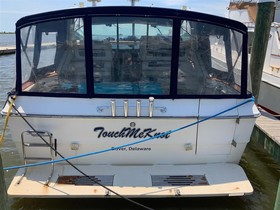 1989 Sea Ray Boats 390 Express Cruiser for sale
