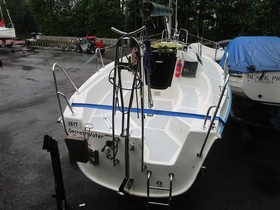 2006 Sasanka Yachts Viva 600