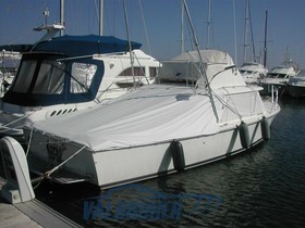 Buy 1987 Bertram Yachts 31