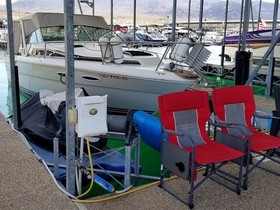 1989 Sea Ray Boats 30 for sale
