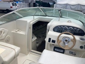 1999 Sea Ray Boats for sale