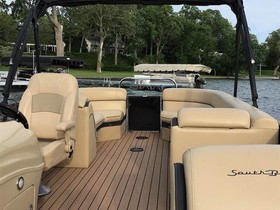 2019 South Bay 24 for sale