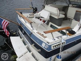 1986 Bayliner Boats 27550 Cierra te koop