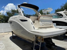 Sea Ray Boats 260  Sundancer