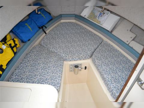 1992 Sailfish 250 for sale