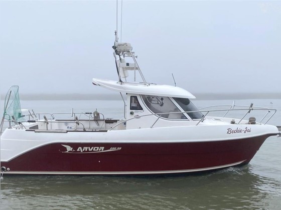 Arvor 250