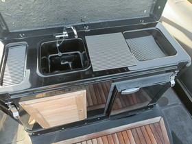 2017 Dorado 10