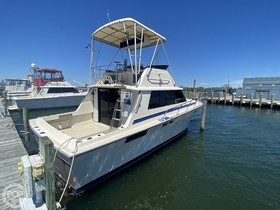 Acheter 1980 Silverton 37