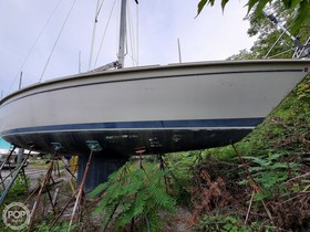 Buy 1986 Pearson 36-2