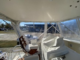 1973 Bertram 46.6 for sale