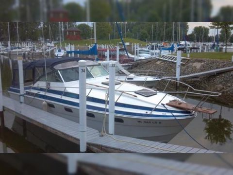 Wellcraft 3100 Sun Cruiser