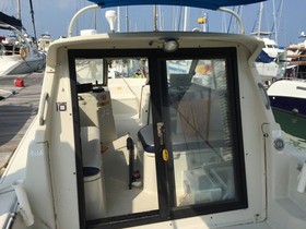 Acquistare 2004 SunCat 8