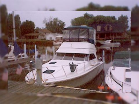 1989 Trojan 367