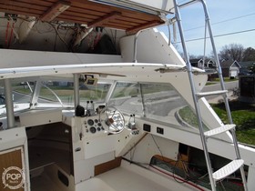 Buy 1974 Bertram 25