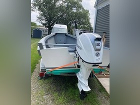 Buy 2020 Ladybug Manomet 18