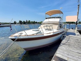 Buy 1979 Trojan 36