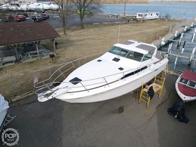 Buy 1983 Sea Ray Srv360 Express