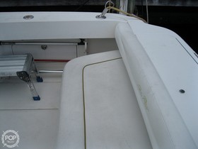 2003 Sea Ray 290 Amberjack en venta