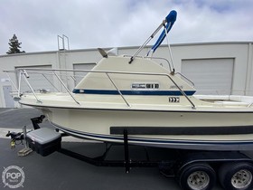 Αγοράστε 1979 Skipjack Flybridge 24