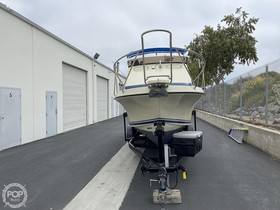 Kupić 1979 Skipjack Flybridge 24