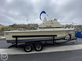 1979 Skipjack Flybridge 24