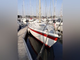 Contest Yachts / Conyplex 31