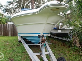 Kjøpe 1996 Sea Ray Laguna 24 Flush Deck Cuddy