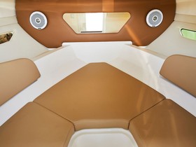 Buy 2022 Sea Ray 230 Cuddy Cabin + 150Ps