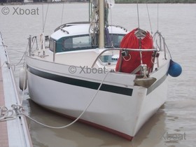 S.A.C.N Costantini Triskel The Triskel Is A 12-Mm Marine Plywood