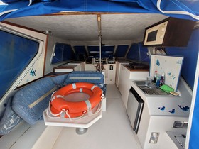 Catamaran Cruisers Moldepol Nueve za prodaju