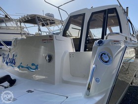 Buy 2020 Cutwater C24 Coupe