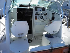 2003 Caravelle Powerboats Sea Hawk 230 zu verkaufen